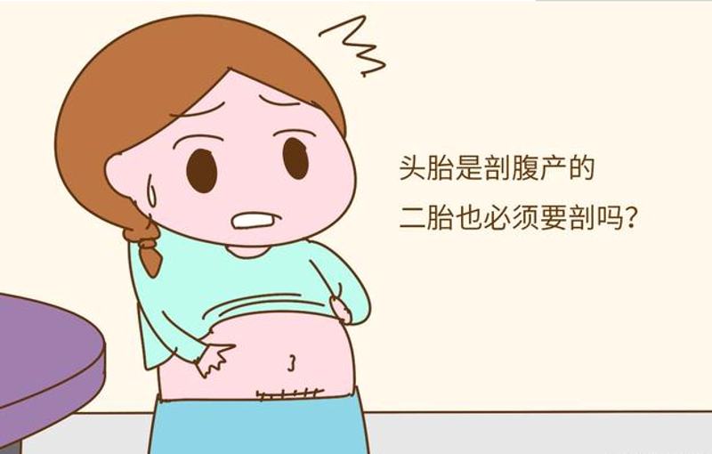 在纪录片《生命之初》中，我们跟随几位产妇的脚步，记录下她们不同寻常的产科分娩过程。这不仅仅是一段旅程，更是一次对生命奇迹的探索。